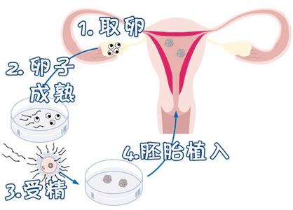 方鉴生殖医学中心 · 门诊环境